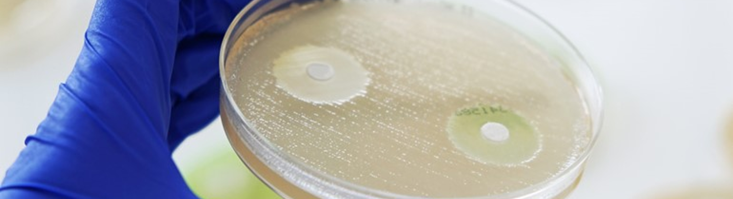 MASTDISCS® mit Antimykotikum