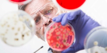 AMR_CATEGORY_PLATES.jpg