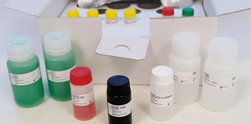mastazyme_elisa_quantitative_3.jpg