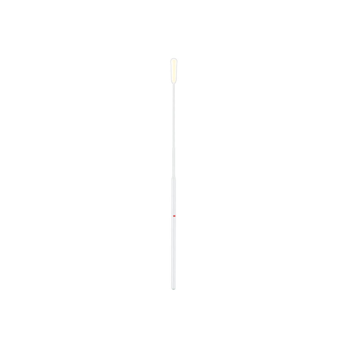 503CS01