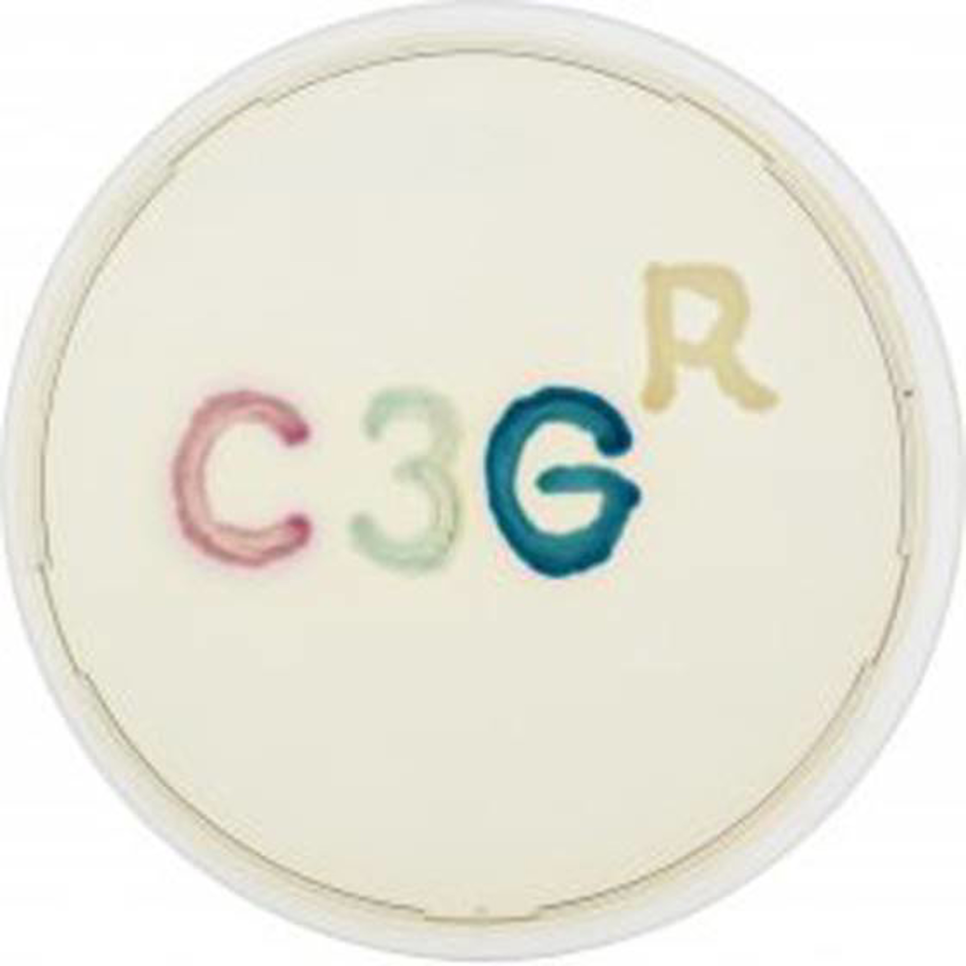 CHROMagar™ C3GR Fertigplatten