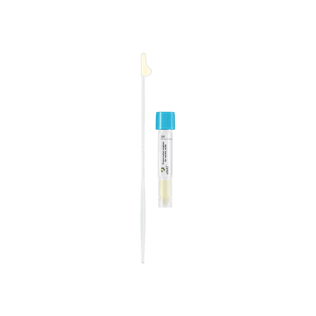 606CS01L
