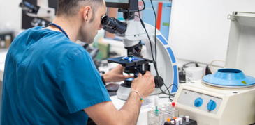 Veterinarian analyzing samples under a microscope in a laboratory.png