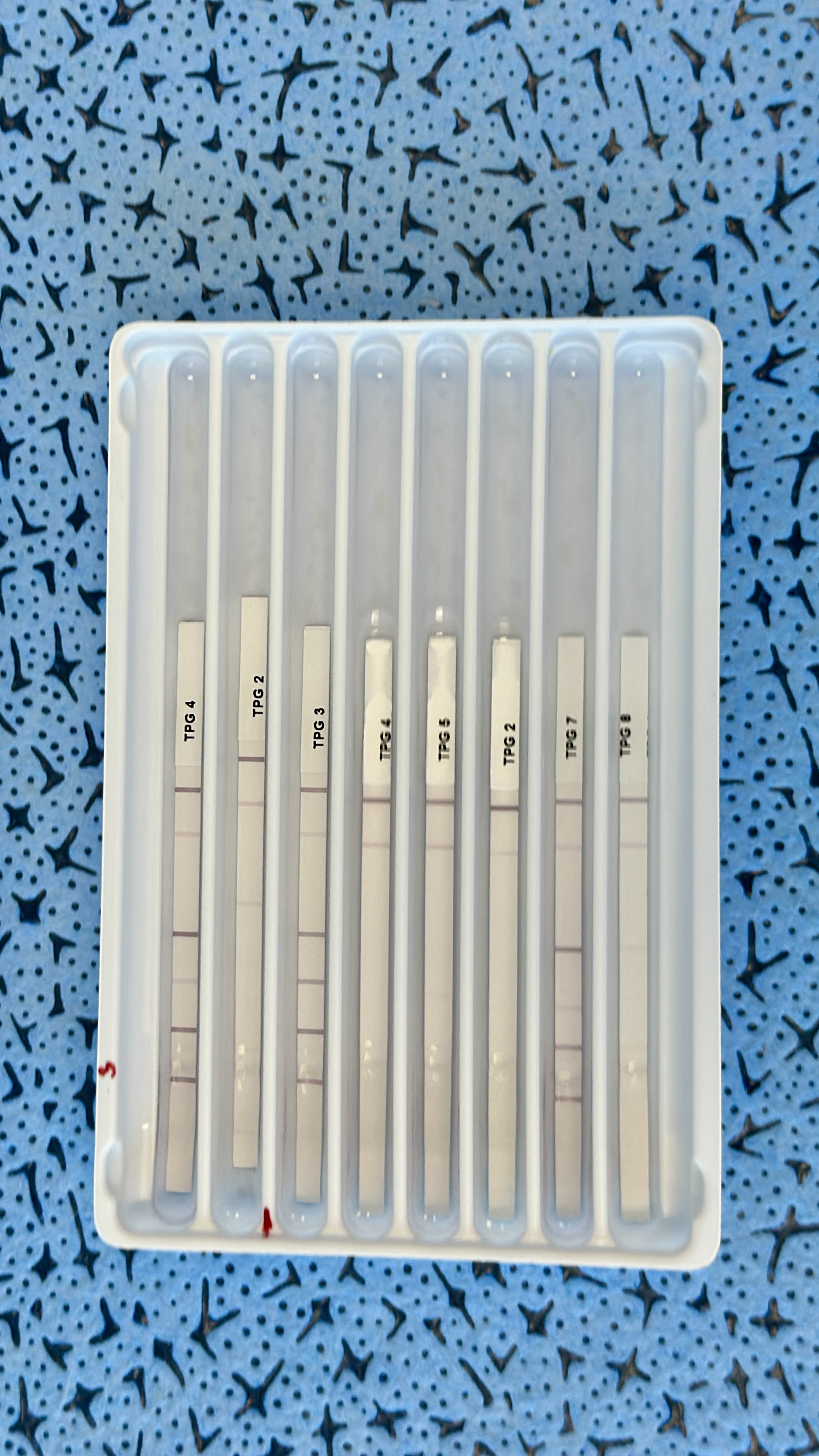 Immunoblots.jpg