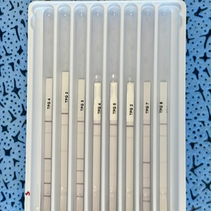 Immunoblots.jpg