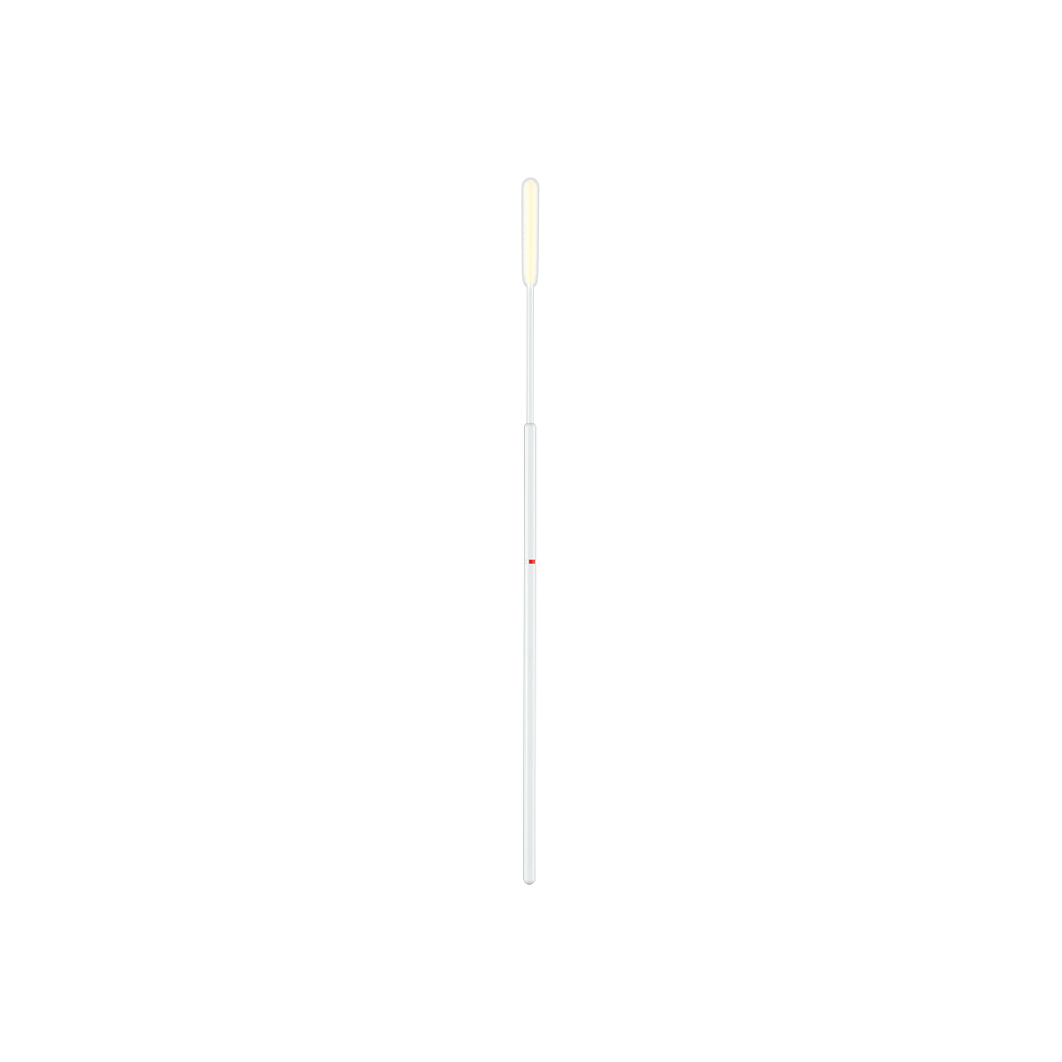 525CS01