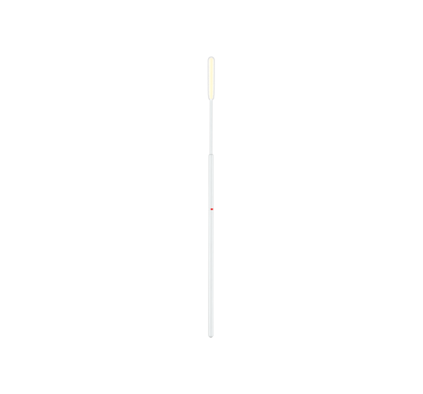 525CS01