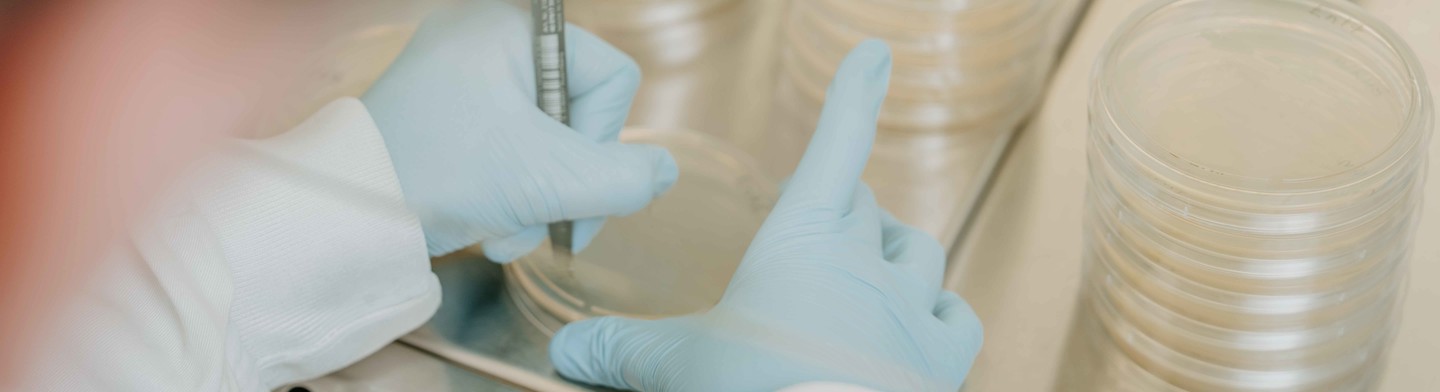 Klinische Diagnostik