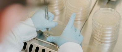 Klinische Diagnostik