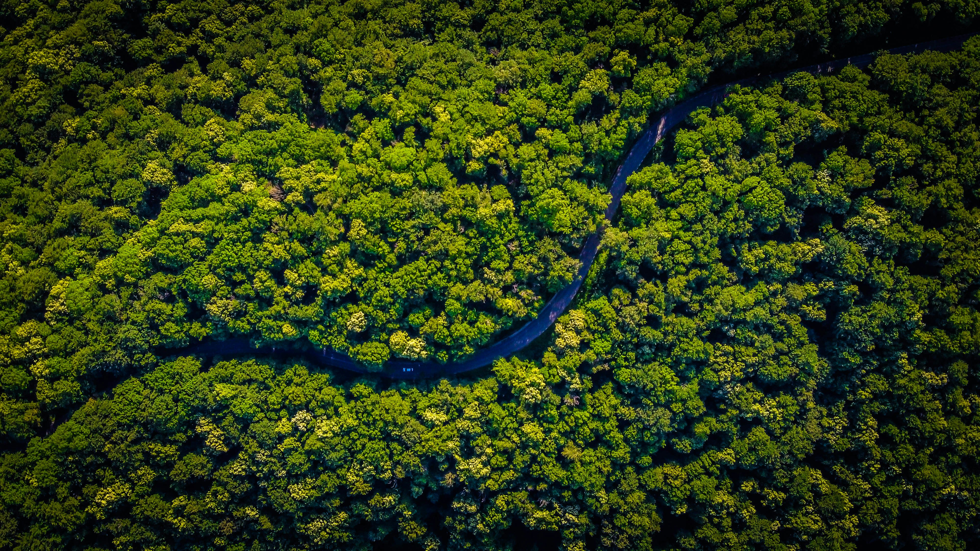 Food &amp; Environmental&nbsp;