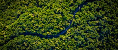 Food & Environmental 
