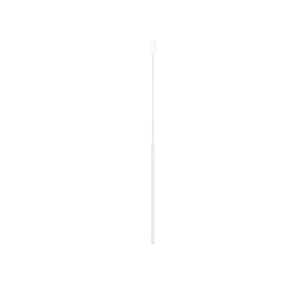 535CS01