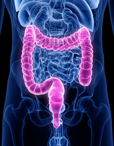 Gastrointestinal Diseases
