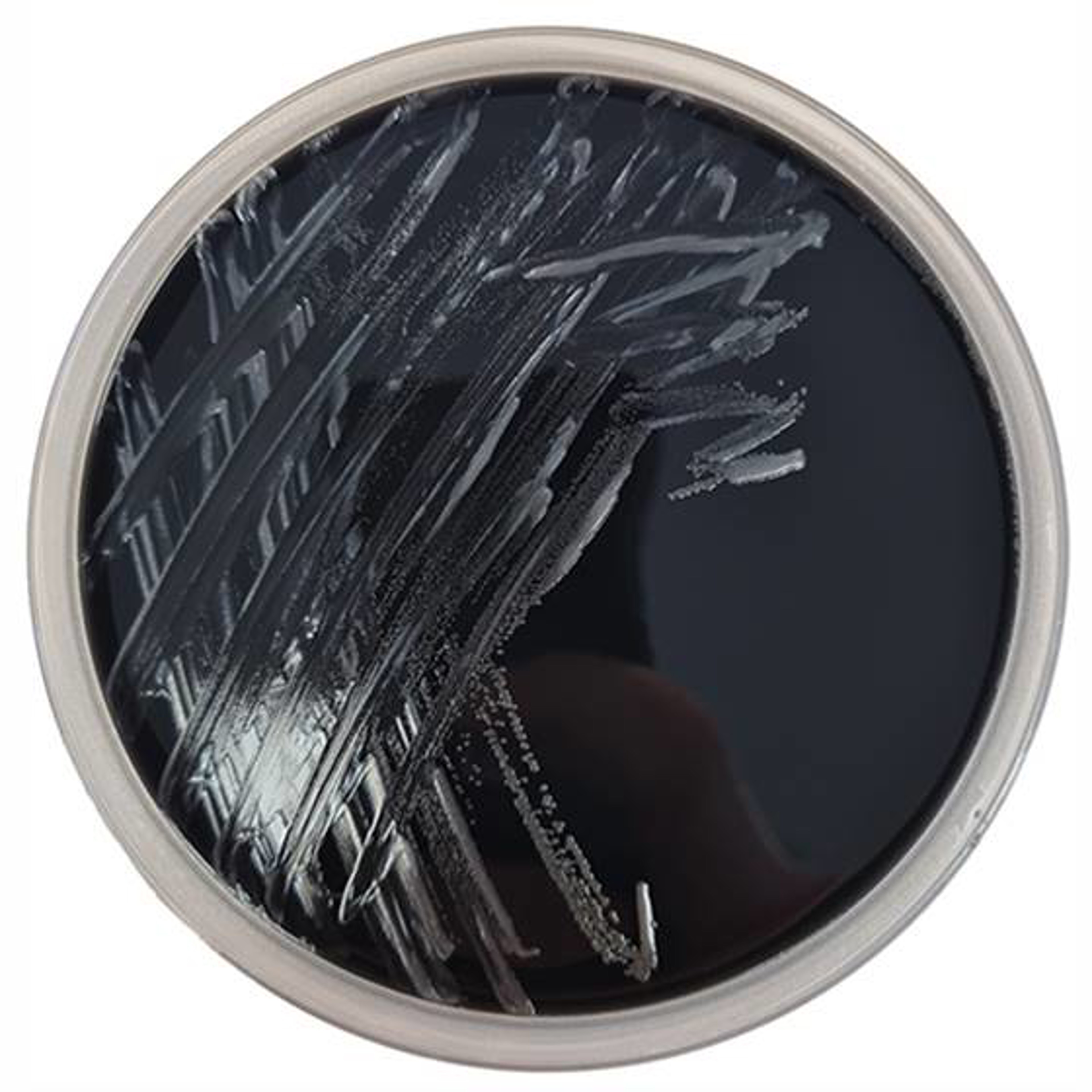 Karmali-Agar Fertigplatten