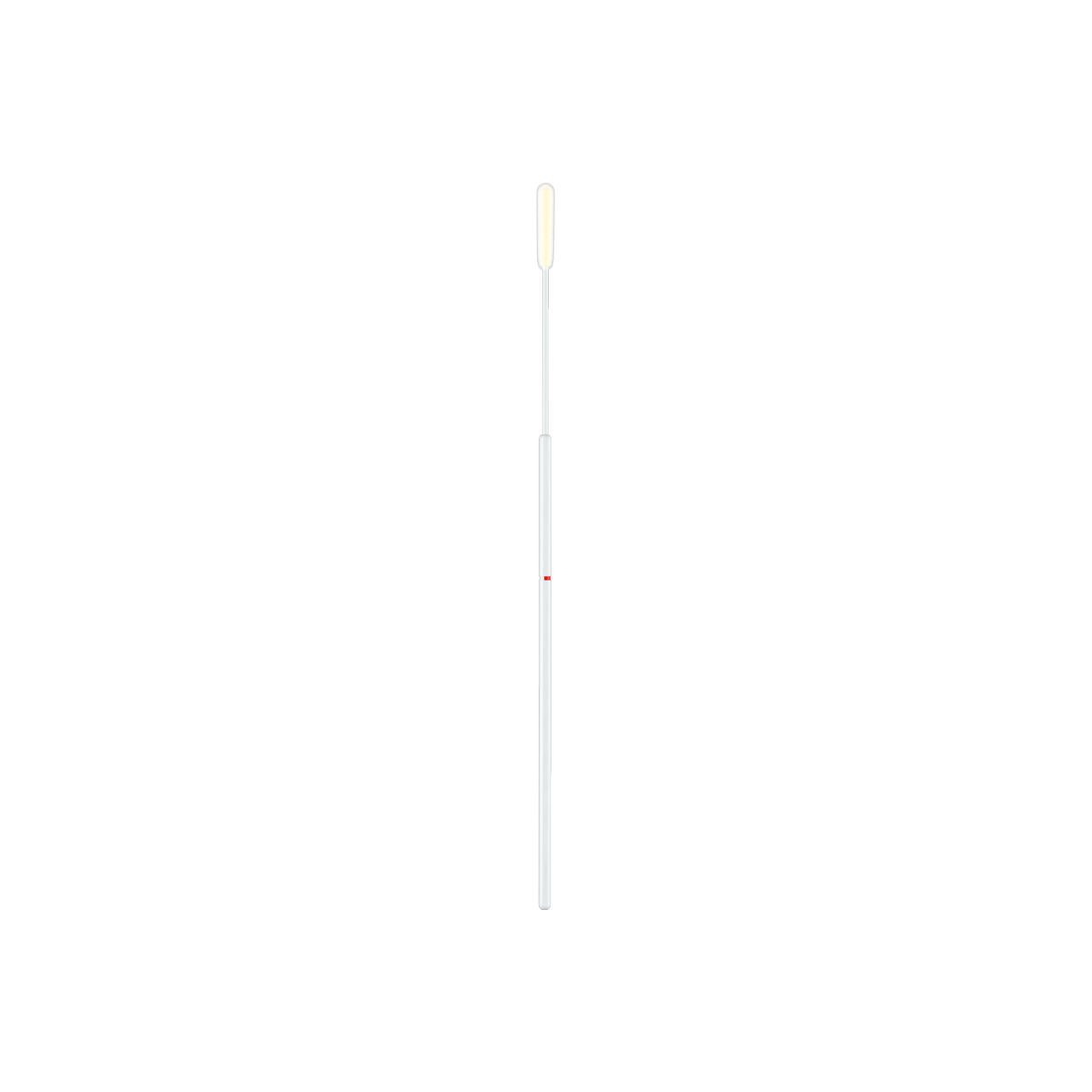 501CS01