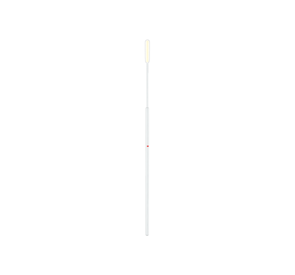 501CS01