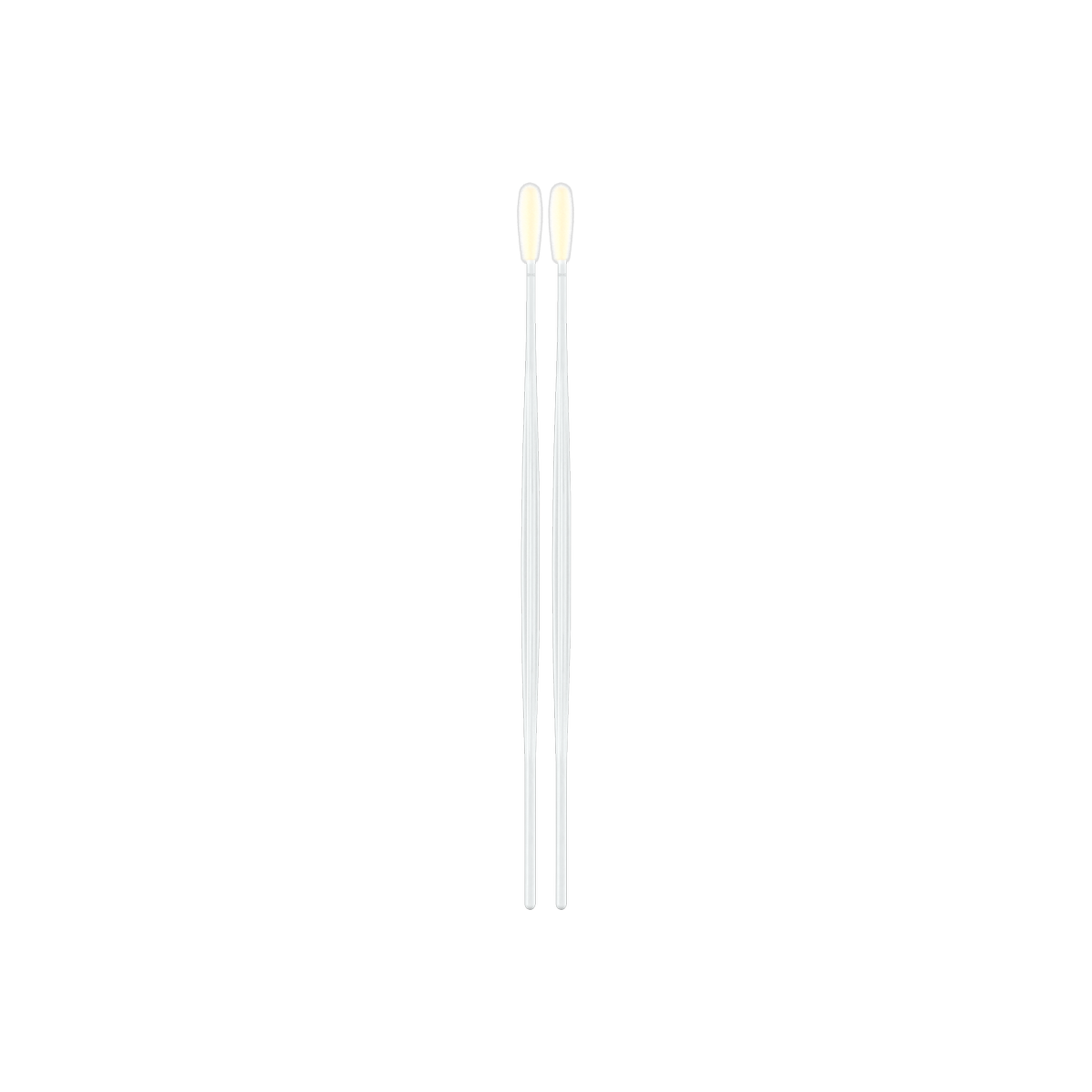 50U006DS02.png