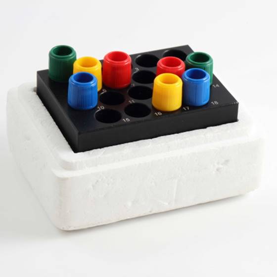 291800