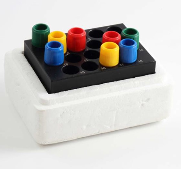 291800