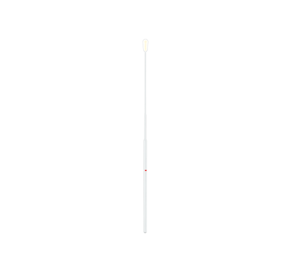 516CS01
