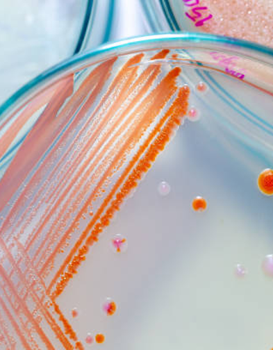 Microbiology