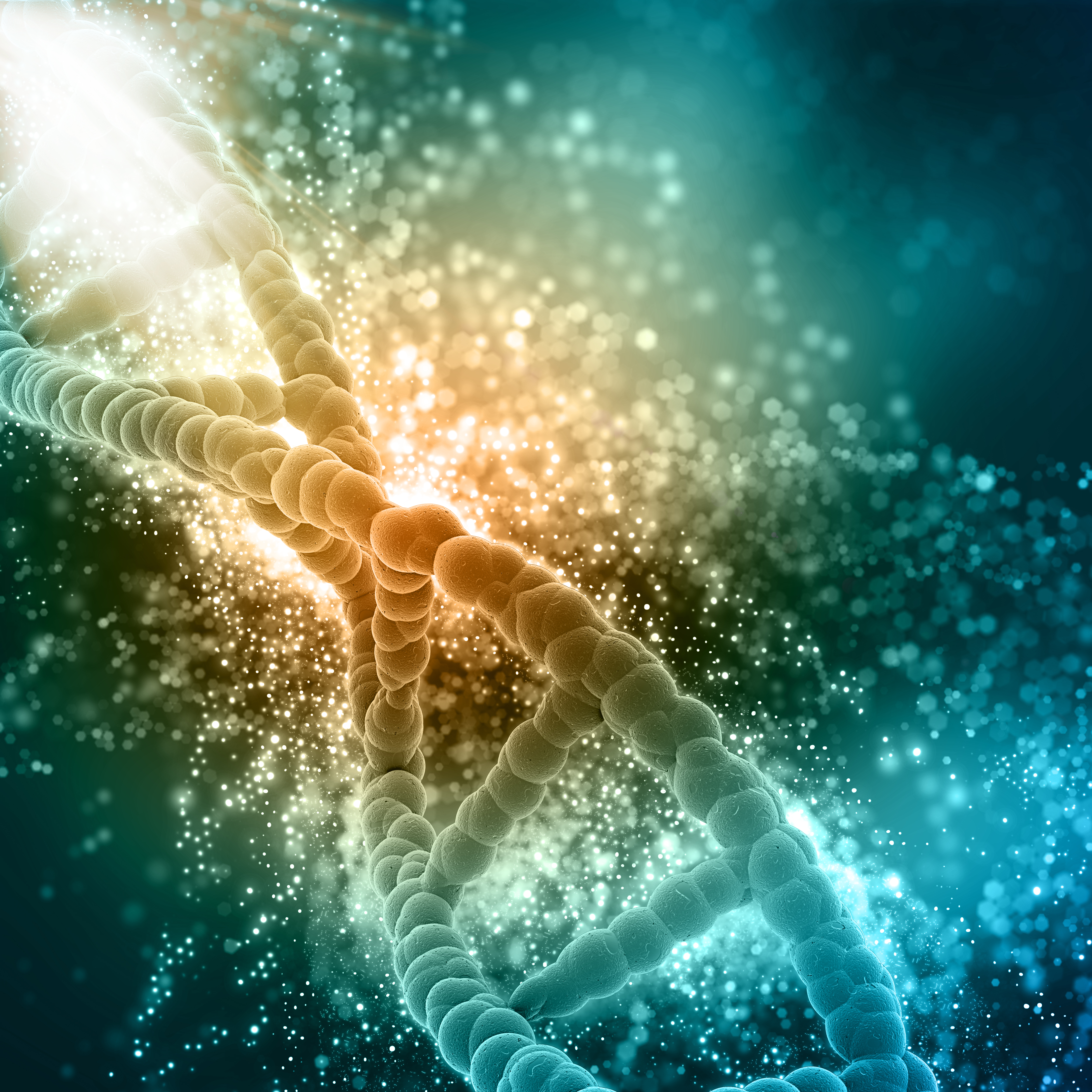 Tests rapides immuno-chromatographiques