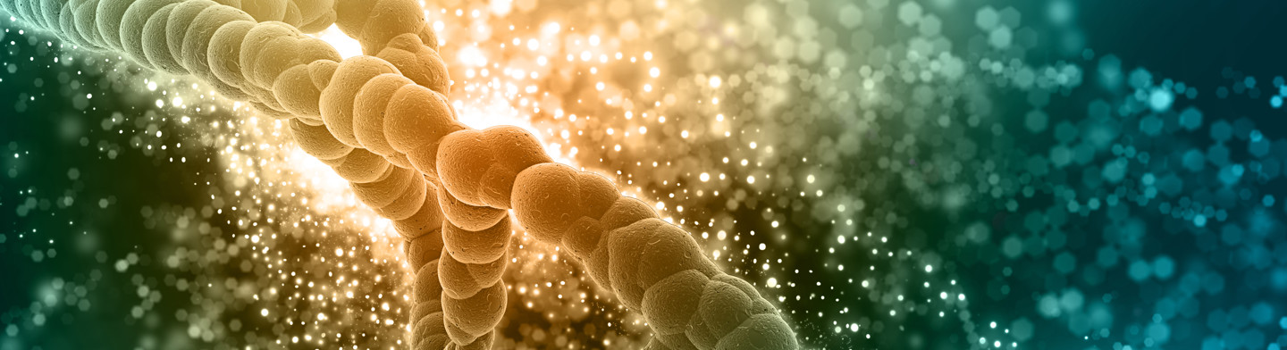 Test rapides immuno-chromatographiques