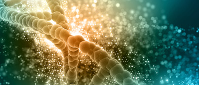 Test rapides immuno-chromatographiques