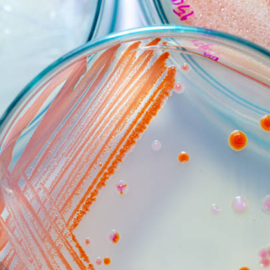 Microbiology.png
