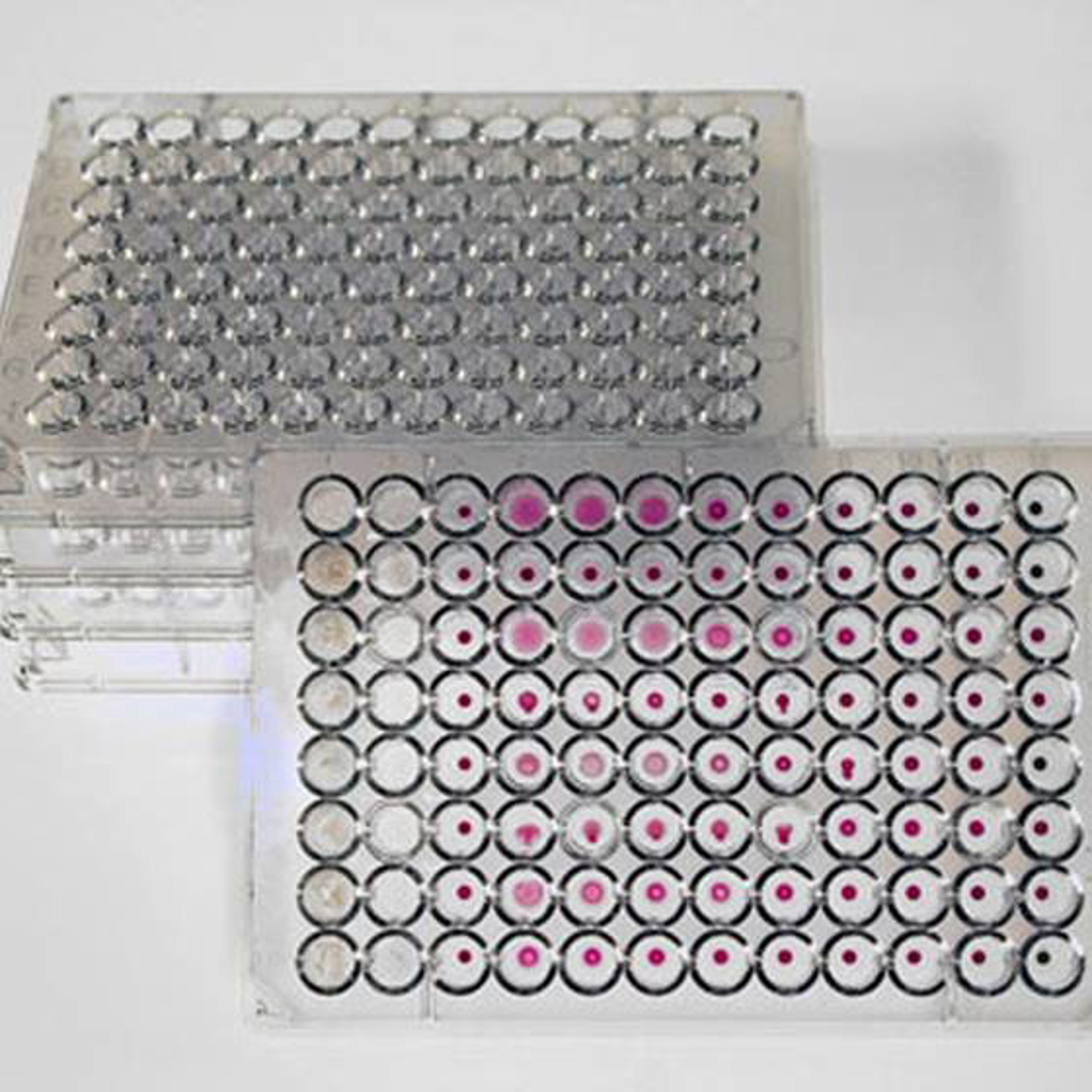 Mikrotiter-Platten U-Form 96 Vertiefungen