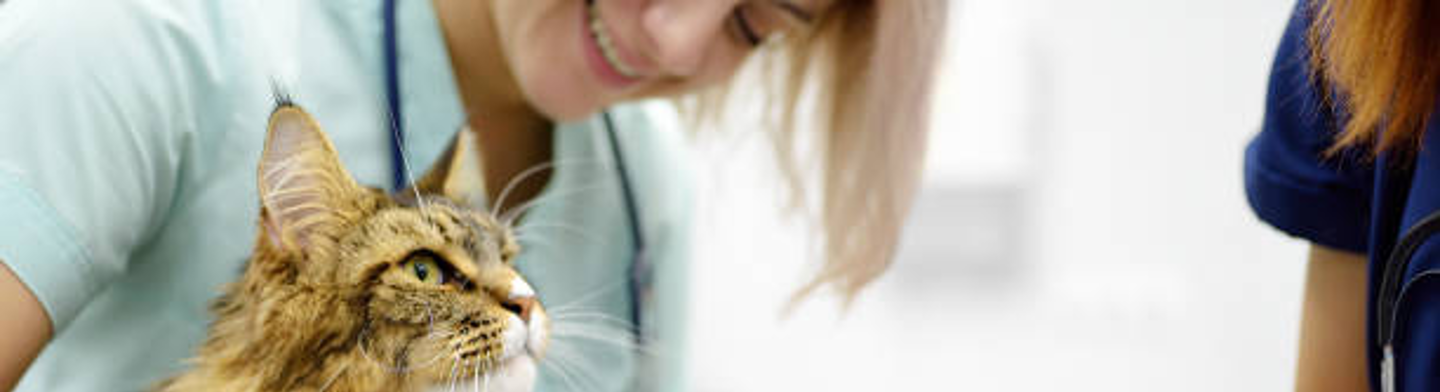 Veterinärdiagnostik