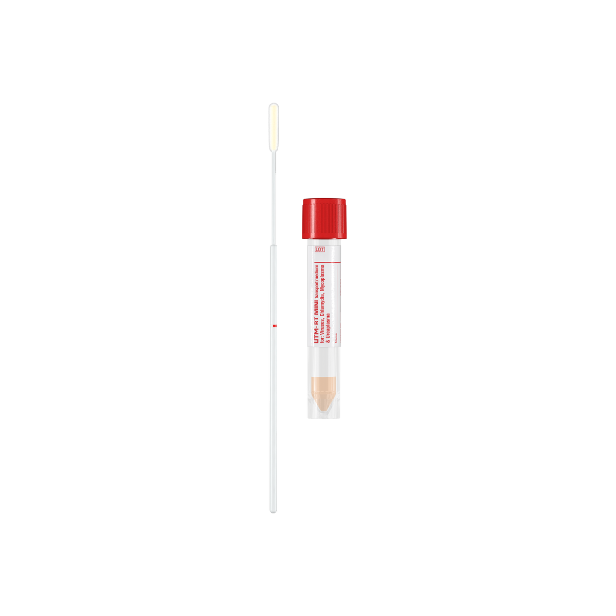 361C