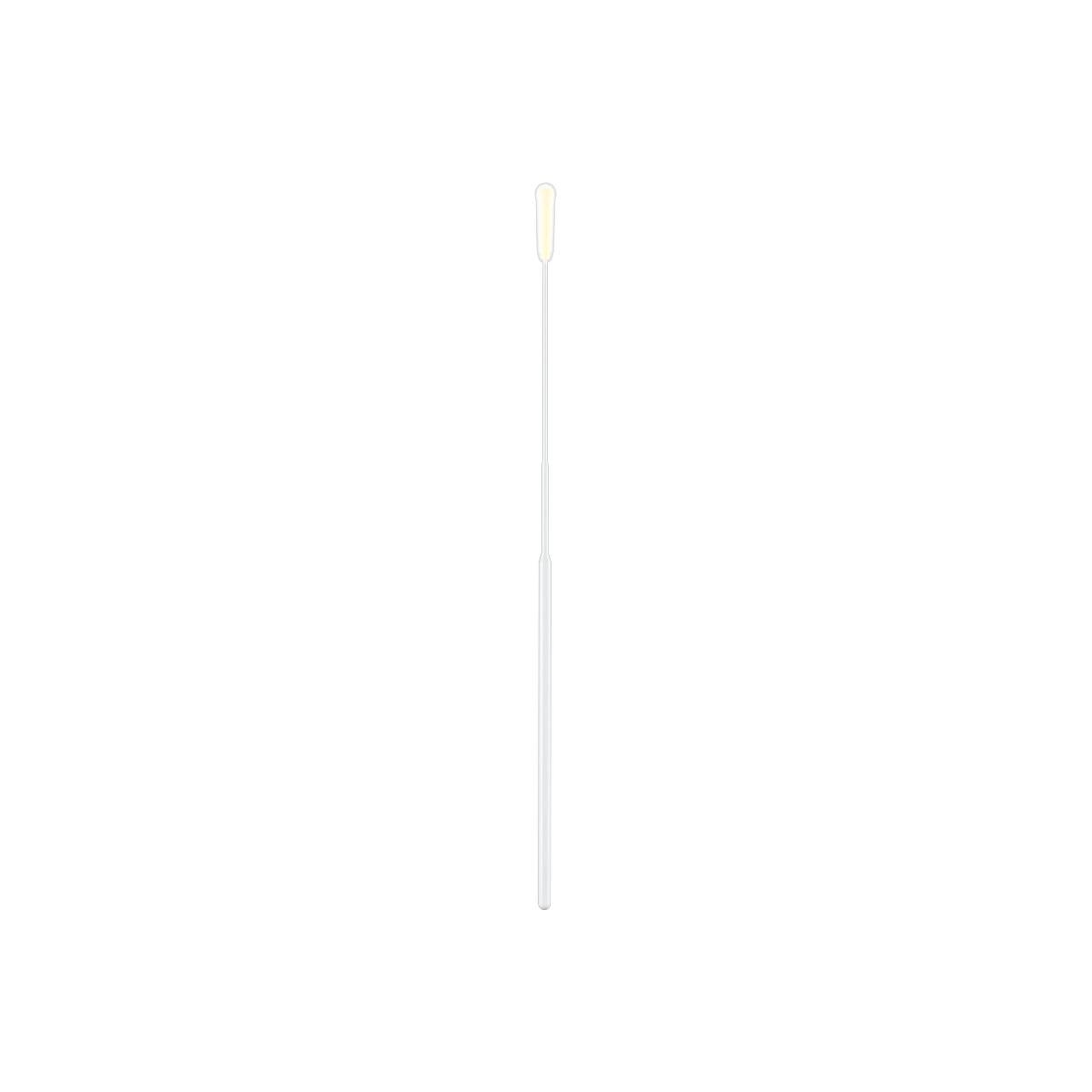 534CS01