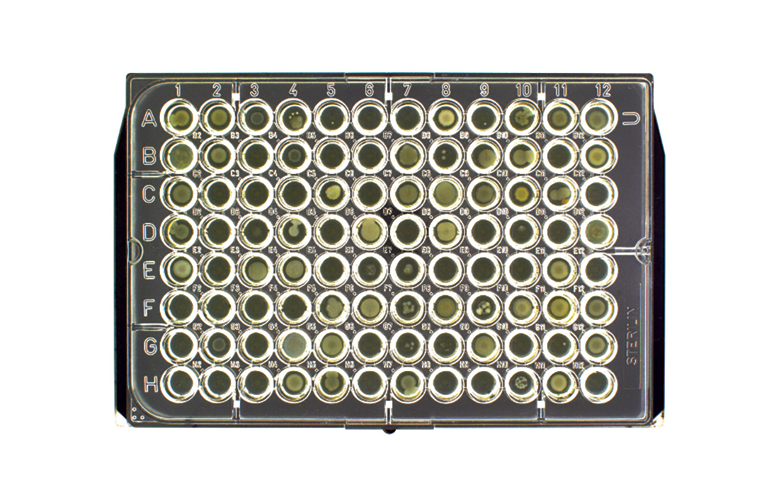 Mast Uri Plates