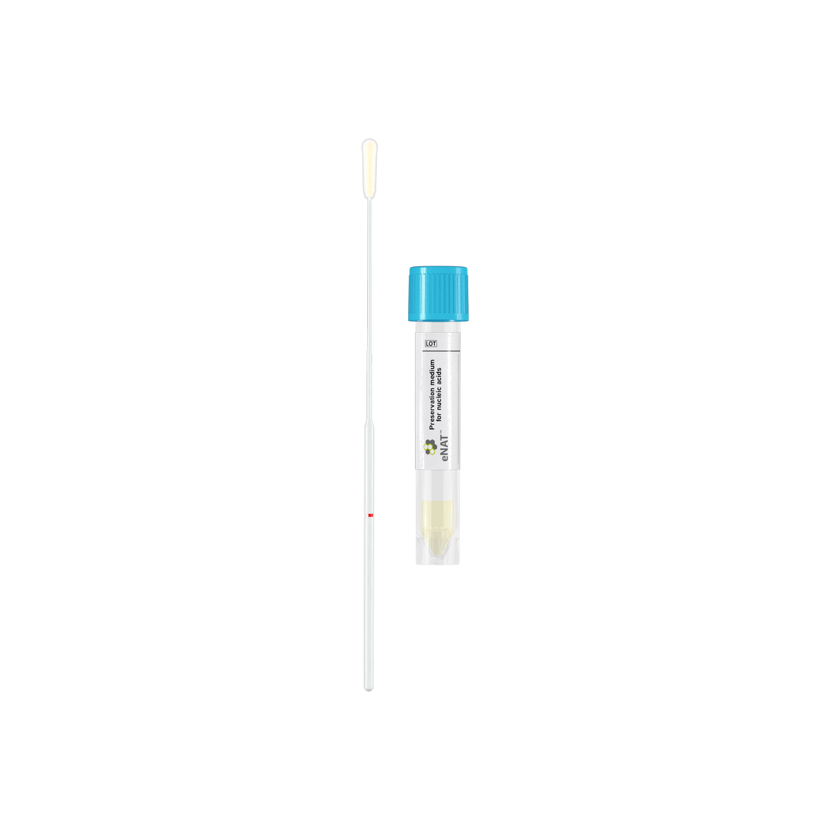 608CS01P