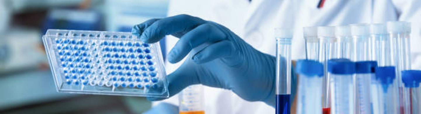 Screening Assays