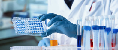 Screening Assays